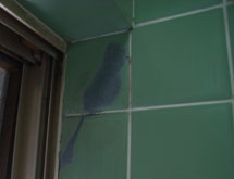 浴室塗装 タイル壁 タイル床 施工前